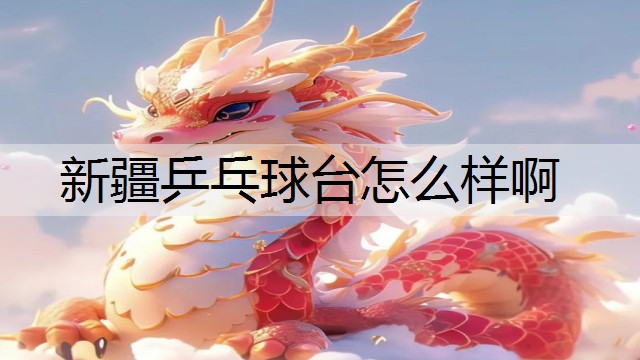 新疆乒乓球台怎么样啊