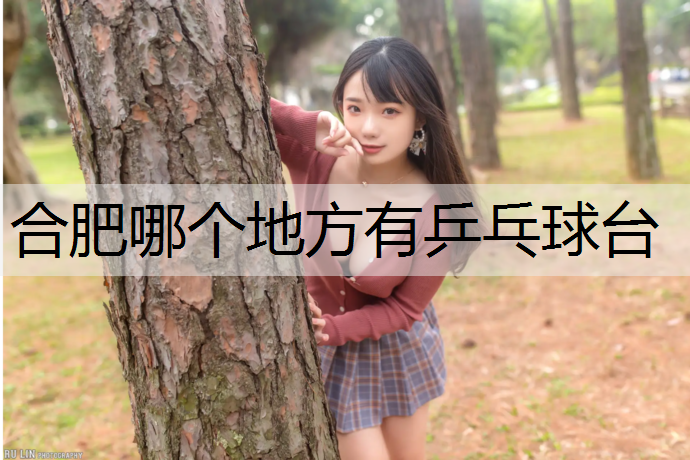 合肥哪个地方有乒乓球台