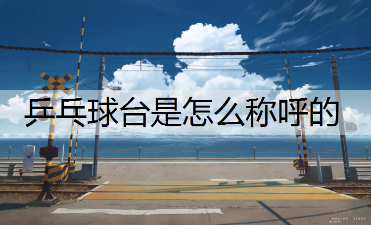 乒乓球台是怎么称呼的