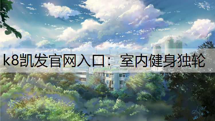 室内健身独轮