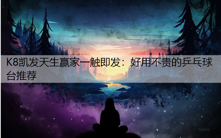 好用不贵的乒乓球台推荐